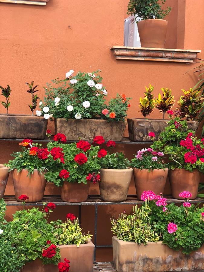 Xacalli Hotel San Miguel de Allende Buitenkant foto